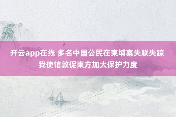 开云app在线 多名中国公民在柬埔寨失联失踪 我使馆敦促柬方加大保护力度