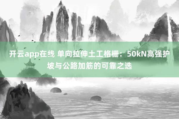 开云app在线 单向拉伸土工格栅：50kN高强护坡与公路加筋的可靠之选