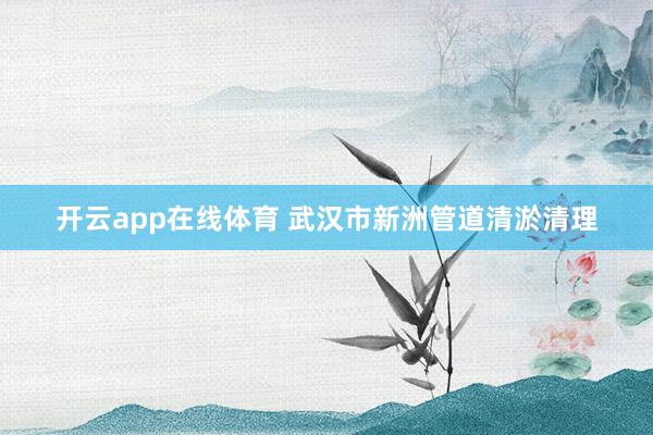 开云app在线体育 武汉市新洲管道清淤清理