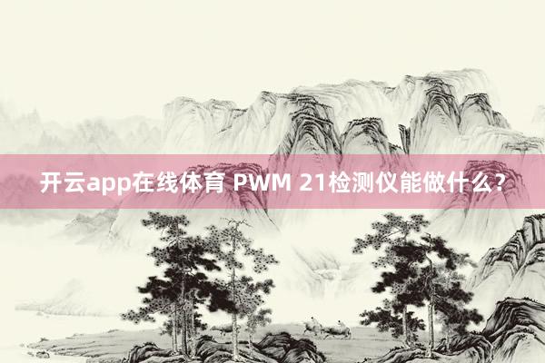 开云app在线体育 PWM 21检测仪能做什么？
