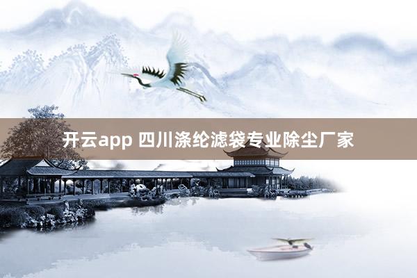 开云app 四川涤纶滤袋专业除尘厂家