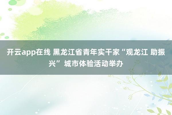 开云app在线 黑龙江省青年实干家“观龙江 助振兴” 城市体验活动举办
